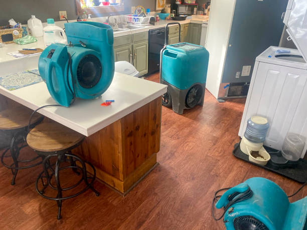 Best Basement water damage restoration  in Great Falls, VA