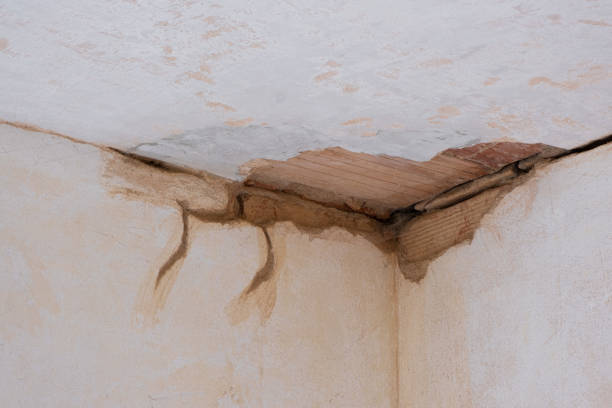 Best Water damage cleanup near me  in Great Falls, VA