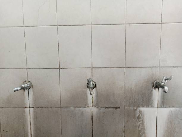Best Mold removal after water damage  in Great Falls, VA