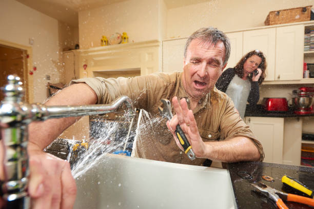 Best Flooded house restoration  in Great Falls, VA